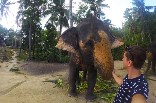 PAY-Elephant-Selfie (1)