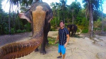 You Got To See The Very First Elephant Selphie