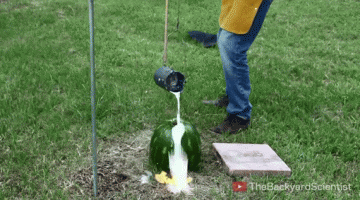 Look What Happens When This Guy Pours Molten Aluminum Into A Watermelon, The Result Is Amazing